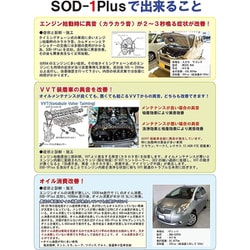 D1ケミカル エステル系オイルメンテナンス剤SOD-1Plus 1L 51rGHLECbGL.jpg