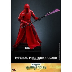 スターウォーズ　ホットトイズ　インペリアルプレトリアンガード　HOTTOYS ホットトイズ テレビ・マスターピース マンダロリアン