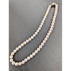 Tokyo Pearl 7.5×8.0mm SV あこや真珠 花珠ネックレス