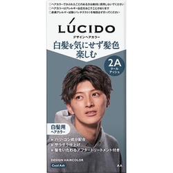 ルシード デザインヘアカラー クールアッシュ （医薬部外品）