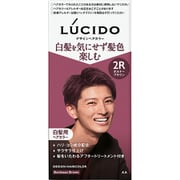 ルシード デザインヘアカラー ボルドーブラウン (医薬部外品)