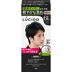 ルシード ワンプッシュケアカラー 6L ライトブラック （医薬部外品）