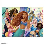 D-300-062 ディズニー 映画 リトル・マーメイド 大切な家族 [ジグソーパズル 300ピース]