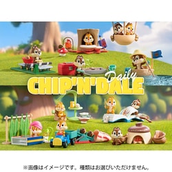 DISNEY チップ ＆ デール デイリー シリーズ【アソートボックス