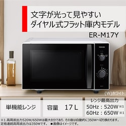 TOSHIBA 東芝 フラット 電子レンジ 単機能 美品