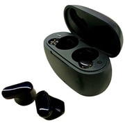 完全ワイヤレスイヤホン Egg Pods Bluetooth対応 ブラック ABT-AP8 BK