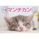 CL-382 [2024年 カレンダー 子猫のマンチカン]
