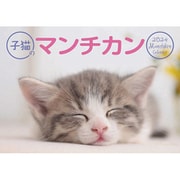 CL-382 [2024年 カレンダー 子猫のマンチカン]
