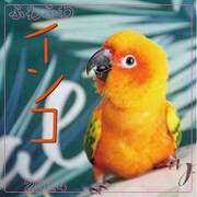 CL-386 [2024年 カレンダー ふわふわインコ]