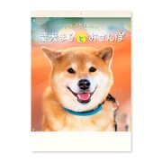 CL-392 [2024年 カレンダー 柴犬まるとおさんぽ]