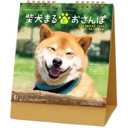 CL-393 [2024年 カレンダー 卓上 柴犬まるとおさんぽ]