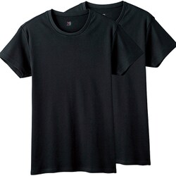 YG綿100％ クルーネックTシャツ （2枚組） LL ブラック YV20132Y