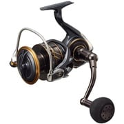 22CALDIA SW 10000-P