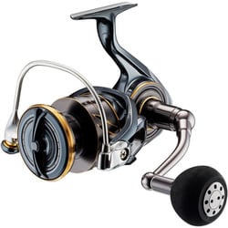 22CALDIA SW 8000-P