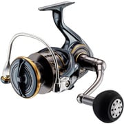 22CALDIA SW 8000-P