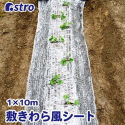 ヨドバシ.com - アストロ 530-09 [敷きわら風キラキラシート1×10m 