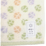 WYT45104 [ミニタオル 綿雪のようなタオル 25×25cm グリーン×イエロー]