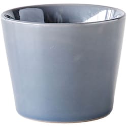 そば猪口 190ml HINATA 陶器 グレー T-947784