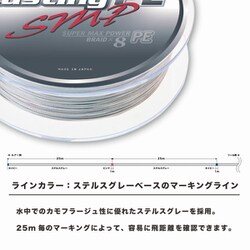 【なみ】アバニキャスティングPESMP　４号　1200m バリバス アバニ キャスティングPE スーパーマックスパワー 8号