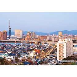 300-337 シリーズ・日本の都市19 福岡県福岡市「早良区百道浜」 [ジグソーパズル 300ピース]