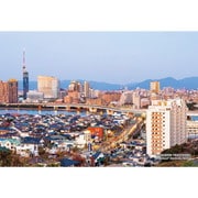 300-337 シリーズ・日本の都市19 福岡県福岡市「早良区百道浜」 [ジグソーパズル 300ピース]