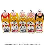 UO9909 [お土産ソックス 柴と招き猫]