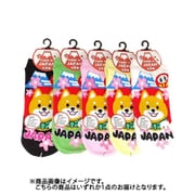 UO9915 [お土産ソックス 柴犬富士だるま]