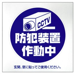 防犯シール 「カメラ」 M 2枚入 BS-813