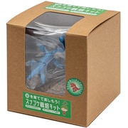 スナゴケ栽培キット