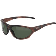BS135004 [CHIMERA サングラス Matte Tortoise Axis]