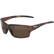 BS136004 [FENIX サングラス Matte Tortoise Brown POLA]