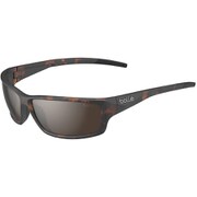 BS041004 [CERBER サングラス Dark Tortoise Shiny Brown]