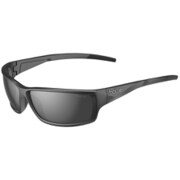 BS041006 [CERBER サングラス Black Shiny TNS]