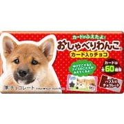 おしゃべりわんこ 1枚