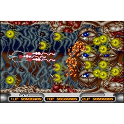 アイレムコレクション Vol.1　Vol.2セット Amazon.co.jp: アイレムコレクション Vol.1 -Switch 【Amazon.co