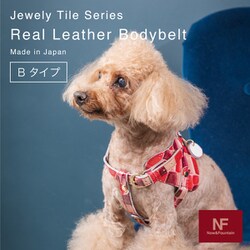 ヨドバシ.com - ナウアンドファウンテン NF BBT001-23red [ボディ