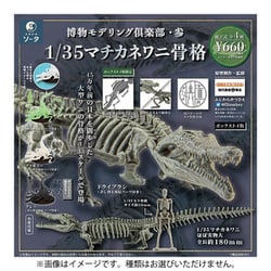 ヨドバシ.com - ソータ SO-TA 博物モデリング倶楽部・参 1/35