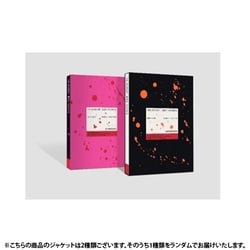 KIM WOO JIN (STRAY KIDS) / 2ND MINI ALBUM : MOMENT : 美青年 BOUNCE（ランダムバージョン） [K-POP 輸入盤CD]