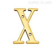 820324 [GORIKI ISLAND（ゴーリキアイランド） ブラスレタ- 76 X]