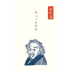 ぽち袋 史緒 アインシュタイン 3枚入 KJ024