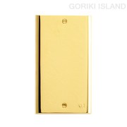 GORIKI ISLAND(ゴーリキアイランド) スイッチプレ-ト PL 00 PVD B 790070