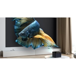 Dangbei DBX3 Pro ダンベイマーズプロ Dangbei DBX3 Pro【Mars Pro】レビュー！4Kでコスパの高い