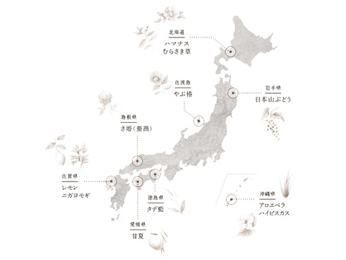 ヨドバシ.com - アムリターラ AMRITARA アムリターラ ライン