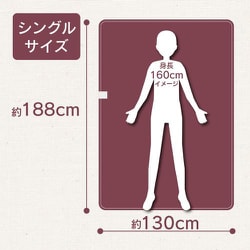 Amazon | 電響社(Denkyosha) ゼピール(Zepeal) 電気掛敷毛布