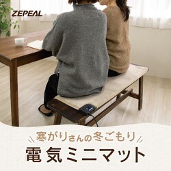 ヨドバシ.com - ゼピール ZEPEAL DHM-Y4590FFN-CN [電気ミニマット