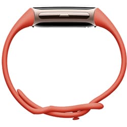 ヨドバシ.com - Fitbit フィットビット GA05184-AP [Fitbit Charge 6