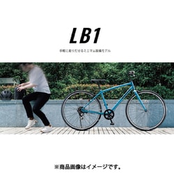 61J-BD2x2oL._UF350,350_QL80_.jpg