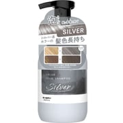 アンナドンナ エブリ カラーフォームシャンプー シルバー 250ml