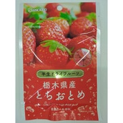 栃木県産とちおとめ 20g