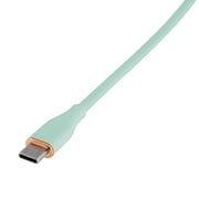 やわらかシリコンケーブル PD対応 Type-C to Type-C 1.0m グリーン ZUH-CCPD210GN